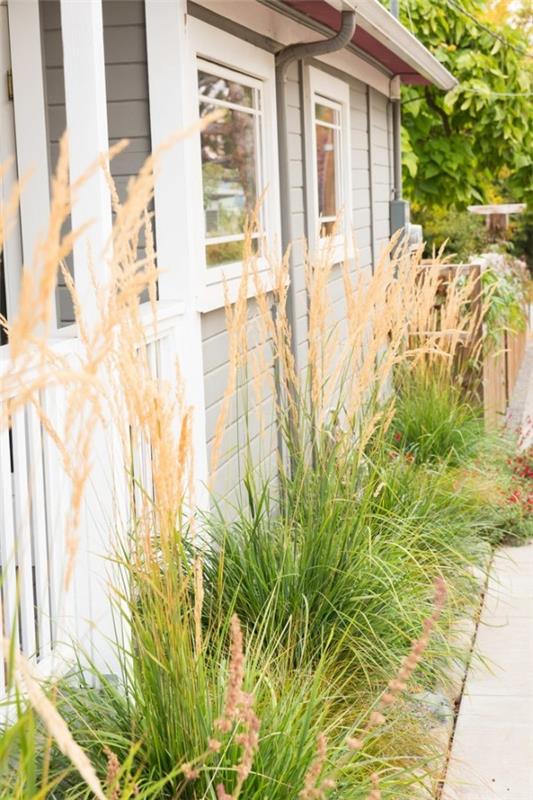 Les herbes ornementales décorent très joliment la maison de campagne à l'extérieur