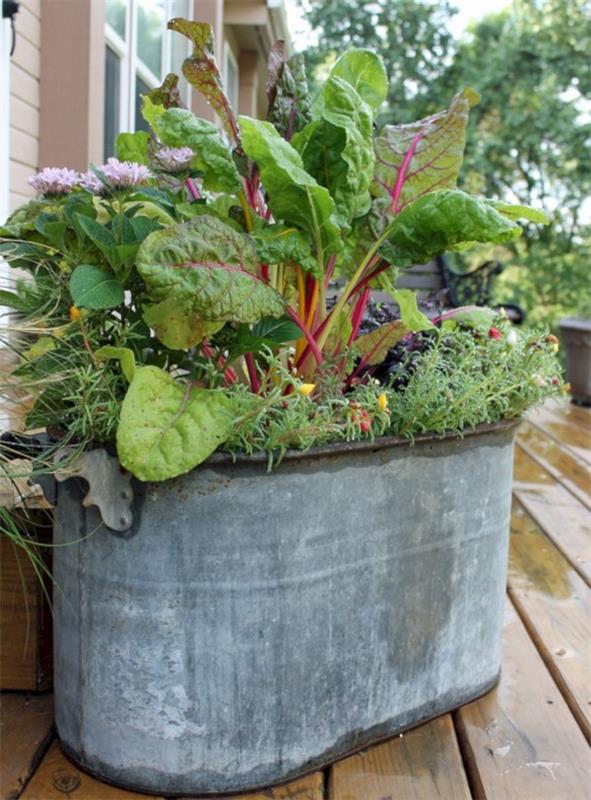 Décorer la baignoire en zinc - idées et astuces pour une décoration de jardin rustique jardin potager surélevé