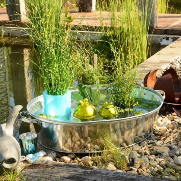 Décorer la baignoire en zinc - idées et astuces pour une décoration de jardin rustique bassin de jardin belle décoration de betterave