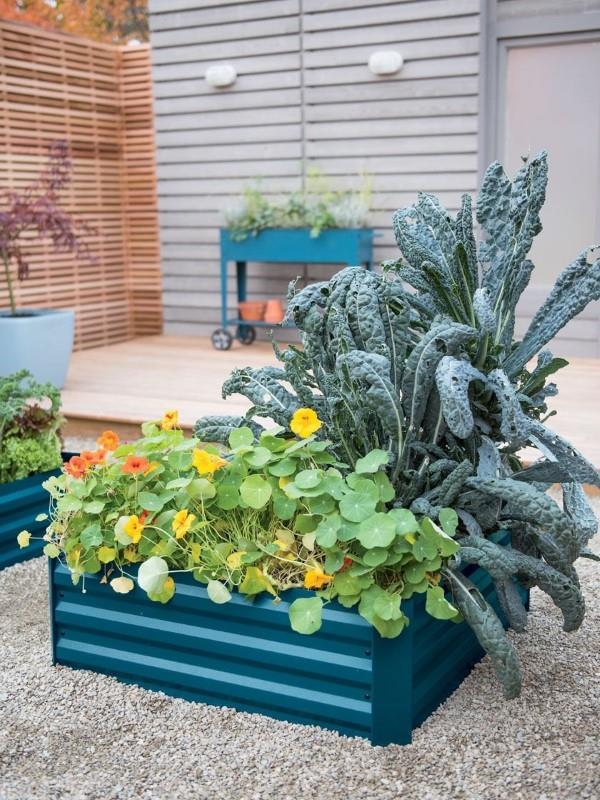 Décorer la baignoire en zinc - idées et astuces pour une décoration de jardin rustique lit surélevé bleu métal