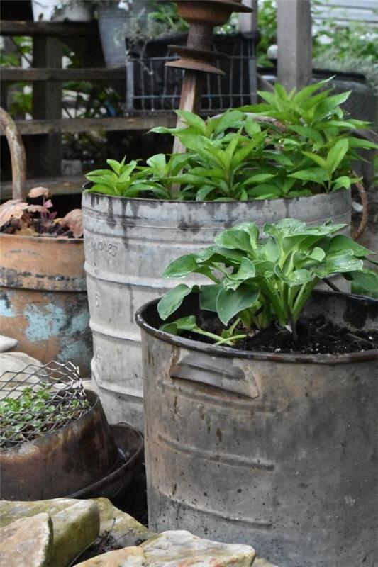 Décorer une baignoire en zinc - idées et astuces pour une décoration de jardin rustique belle idée de lit de jardin d'herbes aromatiques