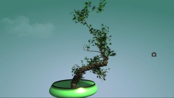 abstrakcyjne drzewo bonsai