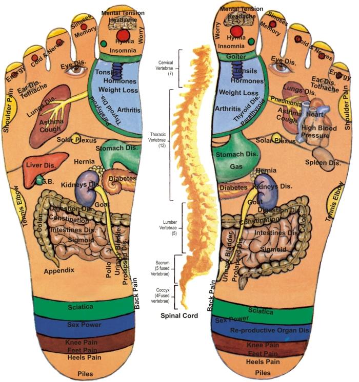 akupresura na żywo zdrowe zdrowe życie praktyka uzdrawiania masaż strefy akupresury stopa
