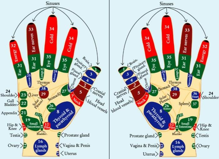 akupresura na żywo zdrowe zdrowe życie praktyka uzdrawiania masaż strefy akupresury dłonie