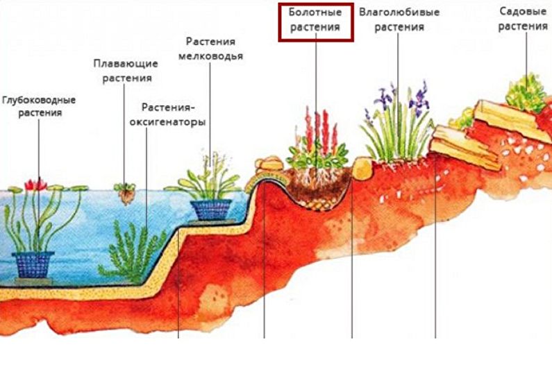 Алпийска пързалка с водопад и езерце със собствените си ръце - Какво трябва да приготвите