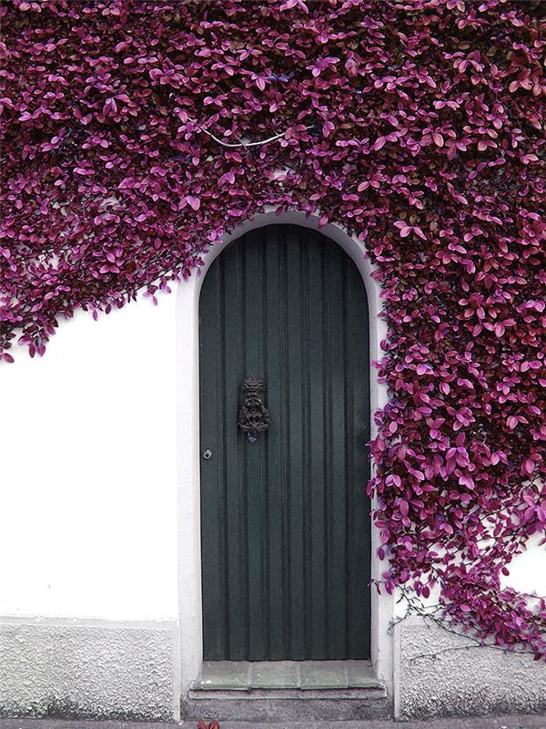 Przeprojektuj stare drzwi wejściowe, żywe pomysły na dekorowanie, aby zrobić siebie