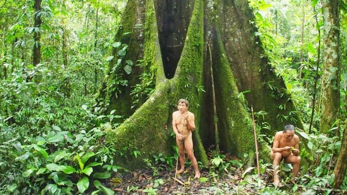 tribu de la forêt amazonienne