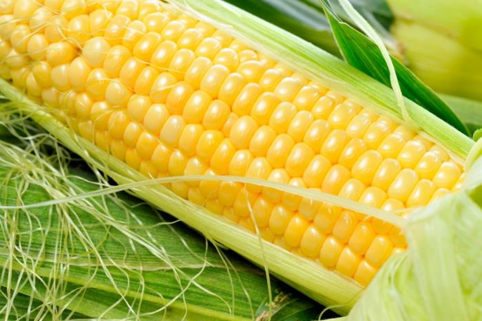 przeciwutleniacz zdrowa kukurydza świeża