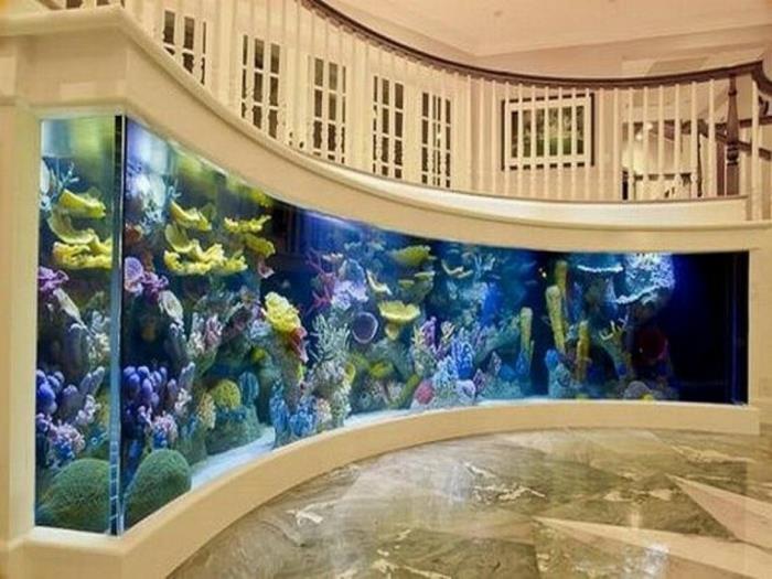 aquarium mise en place ambiance design exemples d'ameublement courbe