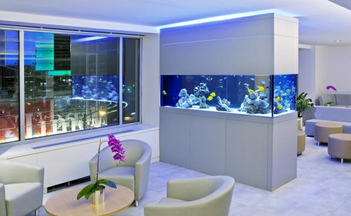 aquarium mis en place atmosphère design exemples d'ameublement design mural au milieu