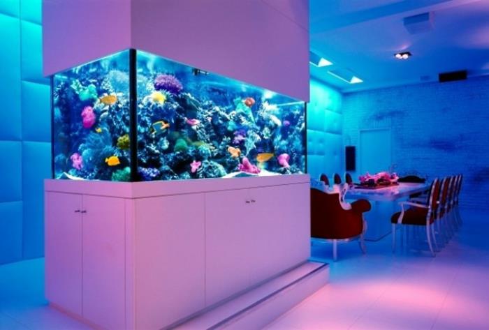 aquarium mis en place atmosphère de conception exemples d'intérieur conception de mur blanc violet