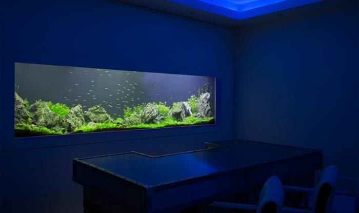 aquarium mis en place atmosphère design exemples d'ameublement design mural salon