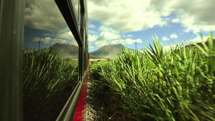 podróż pociągiem taj mahal cele podróży kolej singapur tajlandia blisko natury