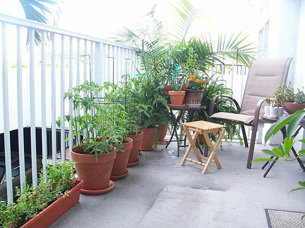pomysły na projekt balkonu fotele rośliny na zewnątrz