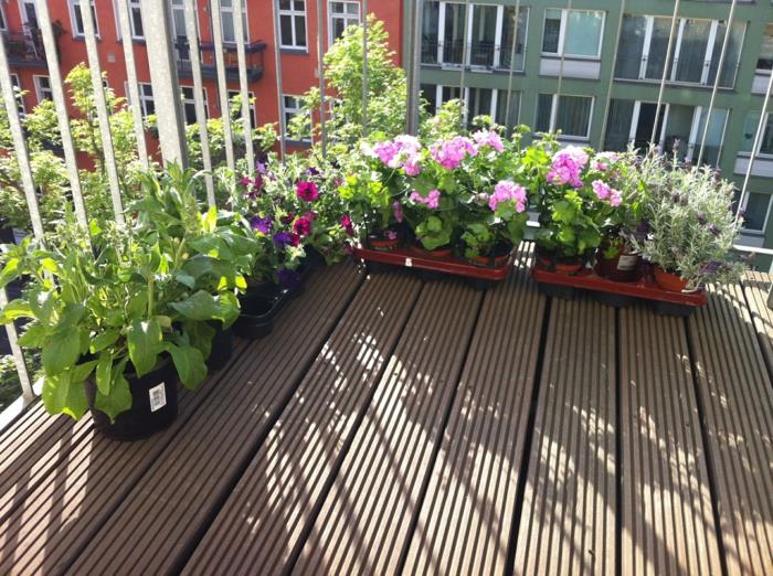 pomysły na dekoracje balkonowe rośliny balkonowe pomysły na projekt balkonów