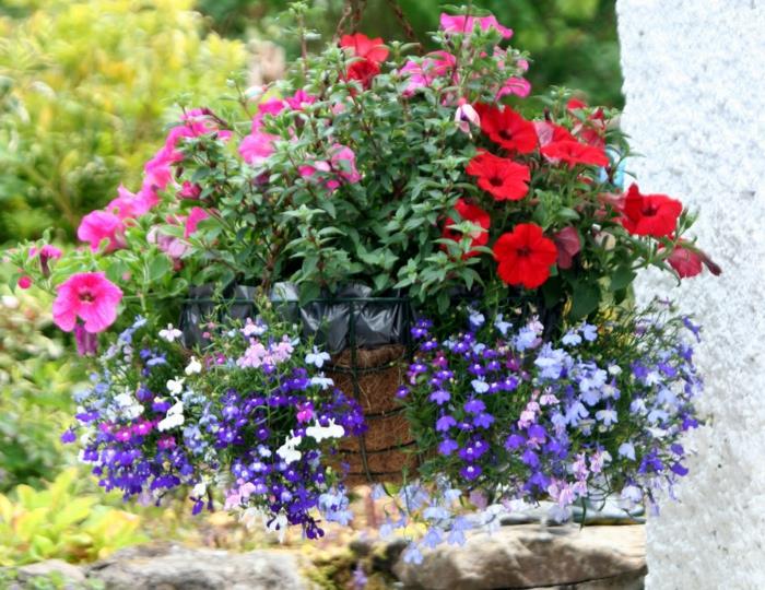 Udekoruj wiszące rośliny balkonowe łączą kolorowe kwiaty