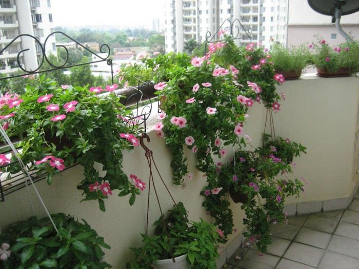 pomysły na projekt balkonu udekoruj rośliny kwiaty
