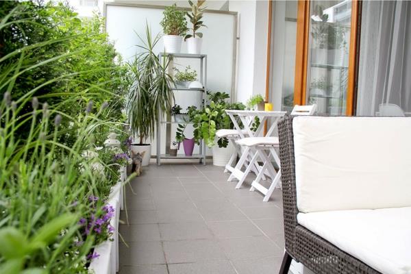 pomysły na projekt balkonu biała roślina mebli ogrodowych