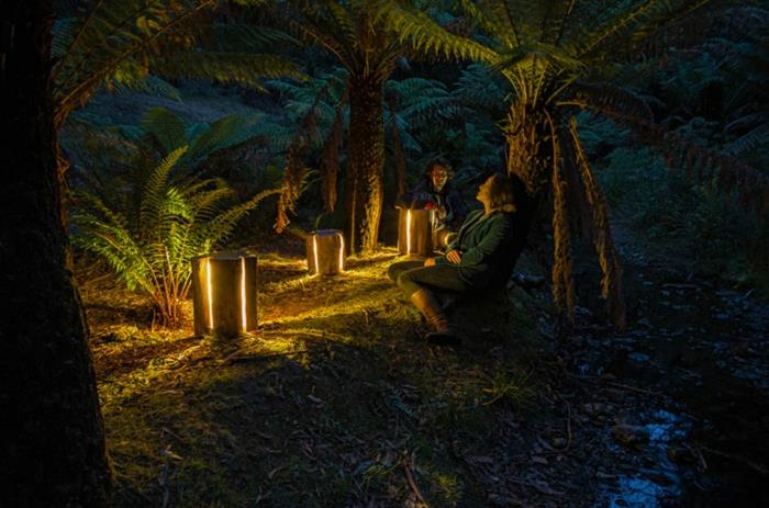 mobilier tronc d'arbre par Duncan Meerding lumières naturelles