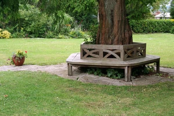 siège confortable dans le jardin banc en bois arbre