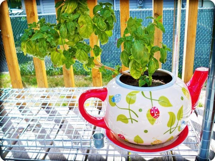 pomaluj doniczkę majsterkowicza z dziećmi pomysły na majsterkowanie ogród projekt czajnik na herbatę