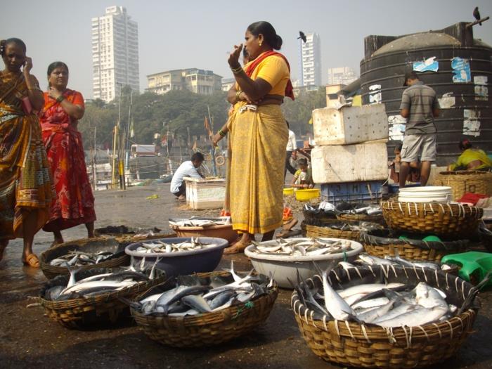 marché de la pêche de bombay inde mumbai