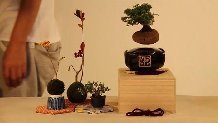 bonsaï air projet japonais