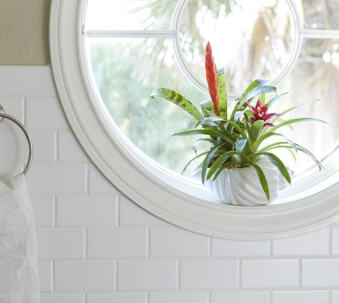bromeliad w spektakularny sposób upiększa łazienkę