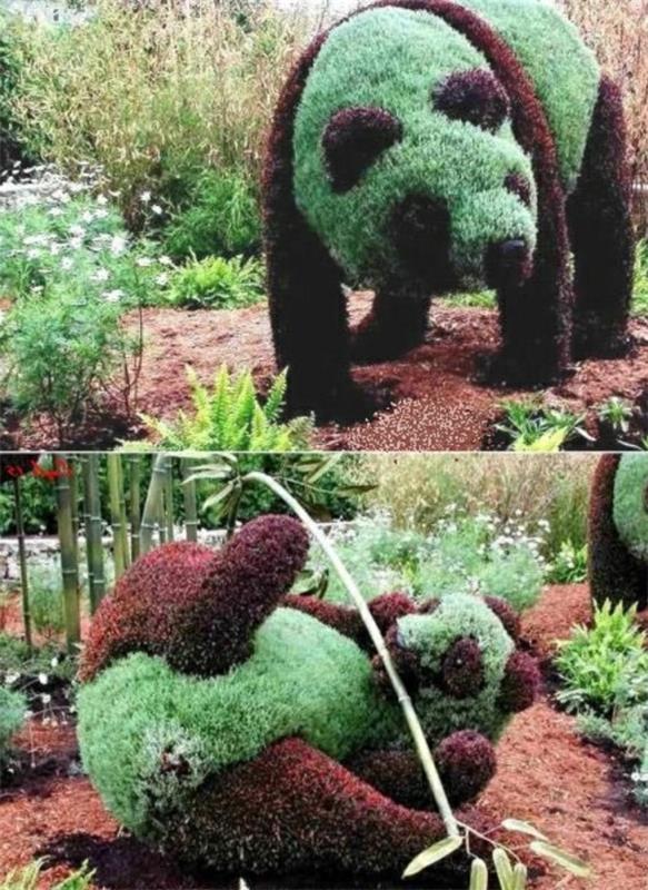 buis topiaire jardin figures animaux panda