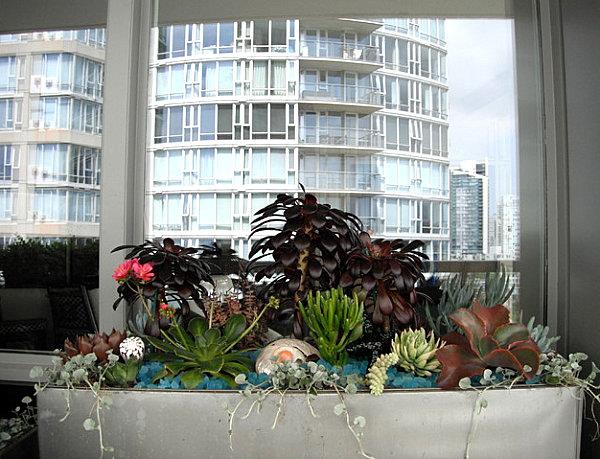 idées de décoration de balcon cool fleurs contenants de plantes