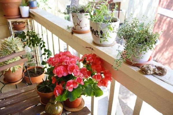 idées de décoration de balcon cool fleurs rampe de plantes