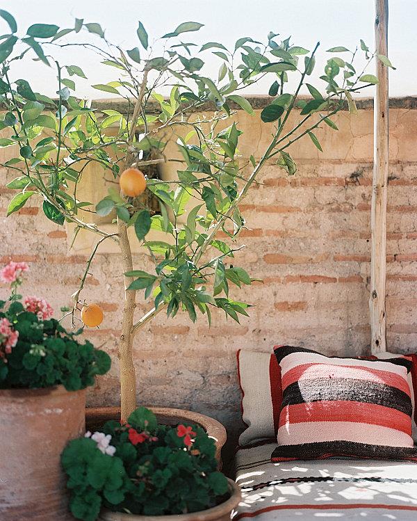 idées de décoration de balcon cool fleurs plantes oranger