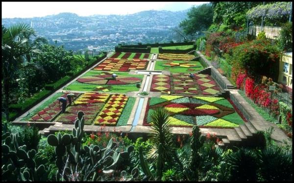 parterres de fleurs de couleur design de jardin cool