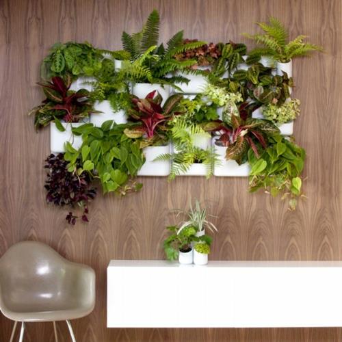 cool idées de décoration pratiques mur de bureau urbain jardin vertical