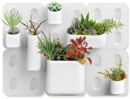 idées de décoration pratiques cool urbio plantes de décoration murale