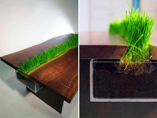 conception de bois d'herbe de blé de table de conteneur de plantes fraîches