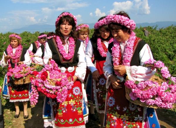 róża damasceńska festiwal rosental bułgaria
