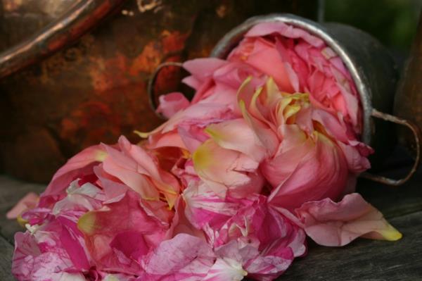 Róża damasceńska cenne kosmetyki z olejkiem różanym