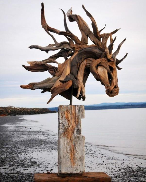 illustration de l'environnement du cerf-volant