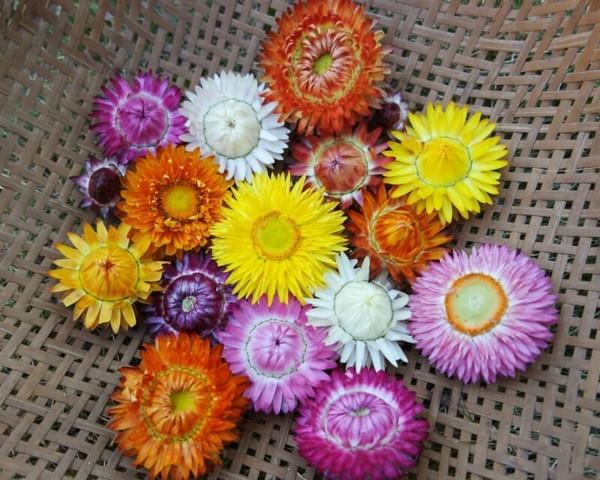 décoration avec des fleurs fleur de paille