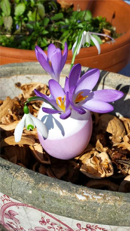 dekoracje wiosna wielkanoc jajko wielkanocne kwiaty