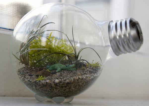 żarówki dekoracyjne terrarium