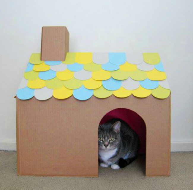 Krok 7: Pusťte kočku do svého domu. V případě potřeby lze na podlahu domu položit kus látky pro pohodlí a pohodu domácího mazlíčka