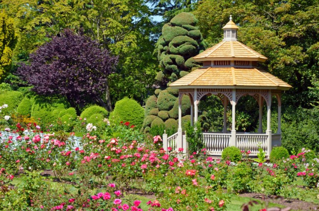 Ein Pavillon im klassischen Stil vor dem Hintergrund eines Rasens aus Sprührosen