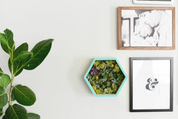 jardinière de bricolage avec cadre photo