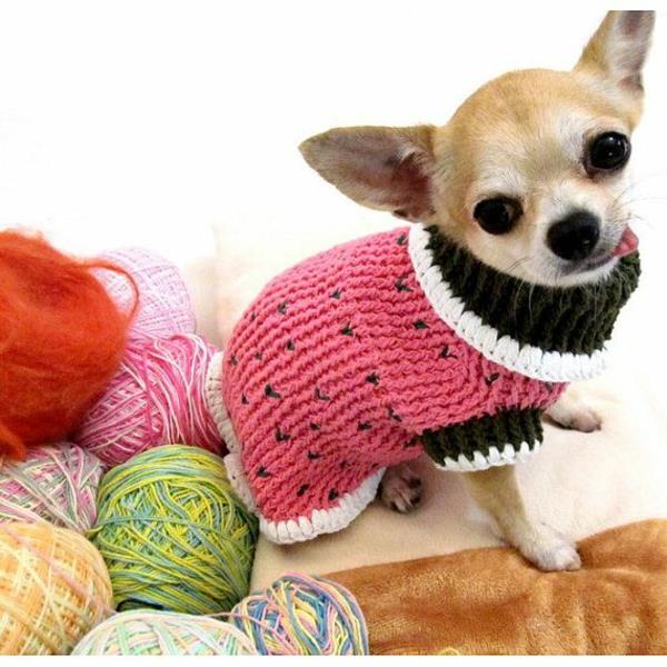 Projekty diy dla psów swetry z dzianiny w kolorze przędzy!