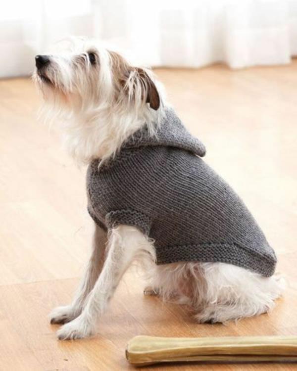 Projekty diy zrób sobie swetry dla psa w jednym kolorze szarym!