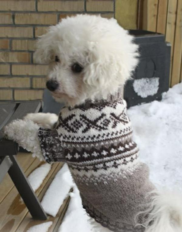 Projekty diy dziewiarskie swetry dla psów same w sobie szary biały wzór!