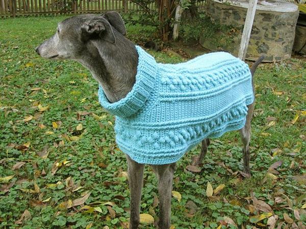 Projekty diy dzianinowe swetry dla psów same w sobie jasnoniebieskie!