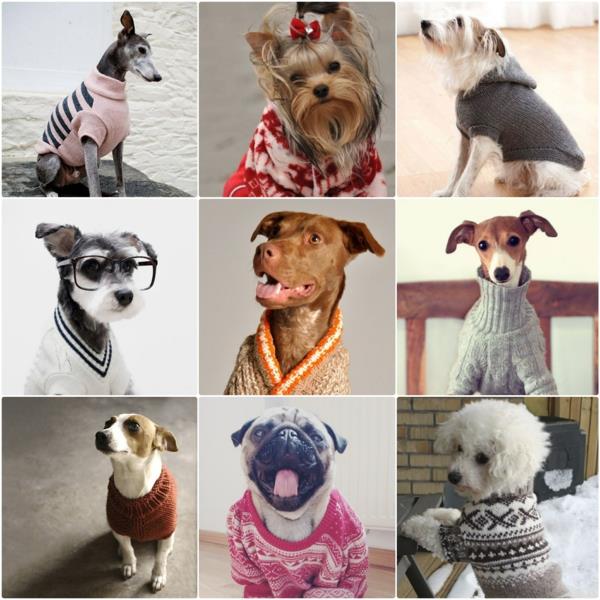 projekty diy samodzielne robienie na drutach swetrów dla psów